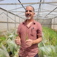 Eyal Fridman