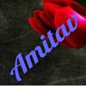 Amitav Neel