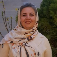 Reyhane Kazemi , PMP