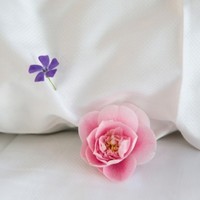 Accounting Assistant