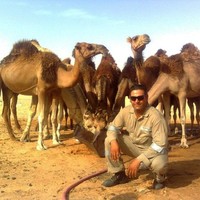 chakib lehsaini