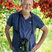 Dick de Vos