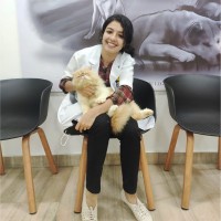 Dr. Maria Elsa Mathews