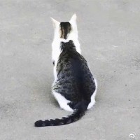 胡家源