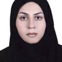 elham rostami