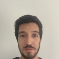 Daniel Primo