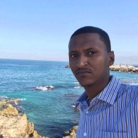 Suliman Mustafa