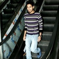 shani rajput