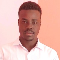 عصام الدين محمد