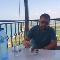 Mohamed Walid Omar