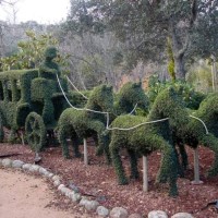 Filomena Rodriguez Saboyá