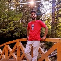 Owais Sultan