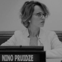Nino Pruidze, PMI-ACP