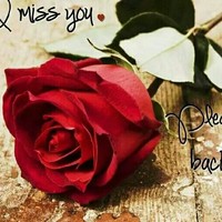 Ali Noor