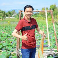Hậu Trịnh