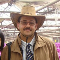 Ali Alkadi