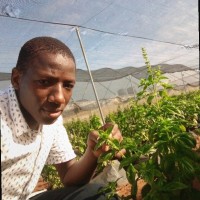 Ibrahim Farouq Ayomide