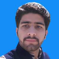 Mian Nauman Ali