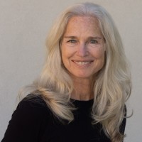 CAROL LEVIN