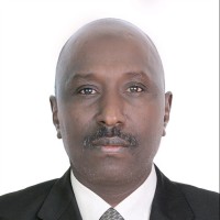 Aiman Hassan Amin