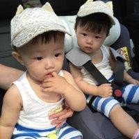 邵晨阳