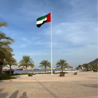 د. محمد أحمد