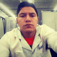 Luis Enrique Berrios Hernandez