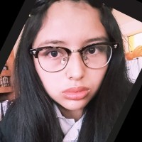 Estefany Sofia Vilchis Verdeja