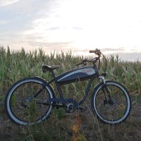 Jean-françois LIEBAUT