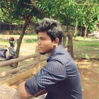 Praveen Panneer Selvam