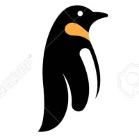Sr Linux Developer