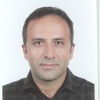 Ali Berenjian