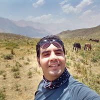 Mohamad Reza Hojabr