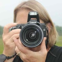 Diane Harris