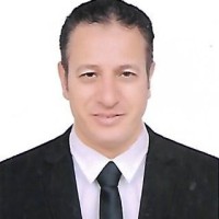Mohamed Hassan