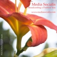 Media Socialis