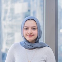 Raheen Aziz