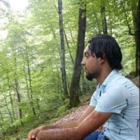 محمد محمود