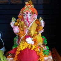 Rajnish Singh
