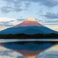 タカハシまゆこ