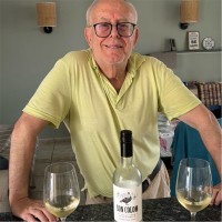 Ramón Colom Esmatges