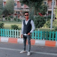 Mohamed Ashour
