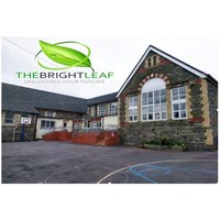 The Bright Leaf 🌱