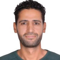 Hesham Alnobei
