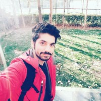 Hamid Dargahi