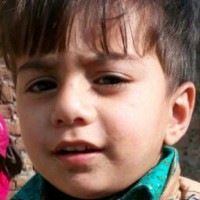 Amjad Ali