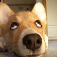 宿凯翔