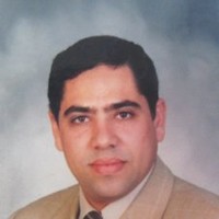 Hossam Bahgat