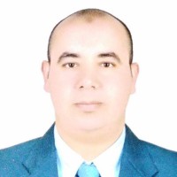 Mahmoud Amer