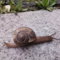 汪雨欣